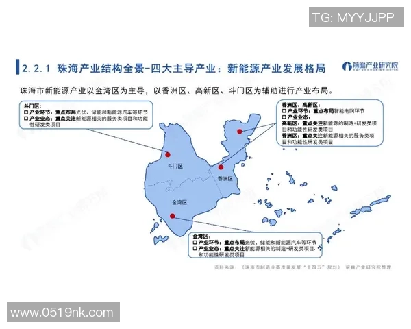 全球足球联赛全景解析从顶级联赛到地方联赛的精彩对决与发展趋势
