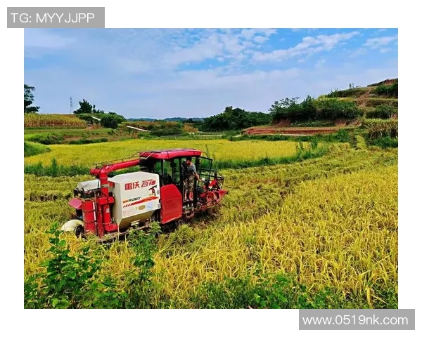 农事足球：在田间地头踢出乡村振兴的新希望与活力