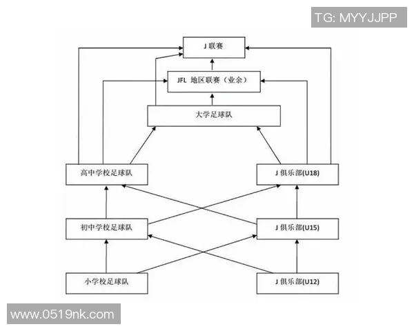 大学足球教材的全面解析与实用技巧分享助力青少年足球发展